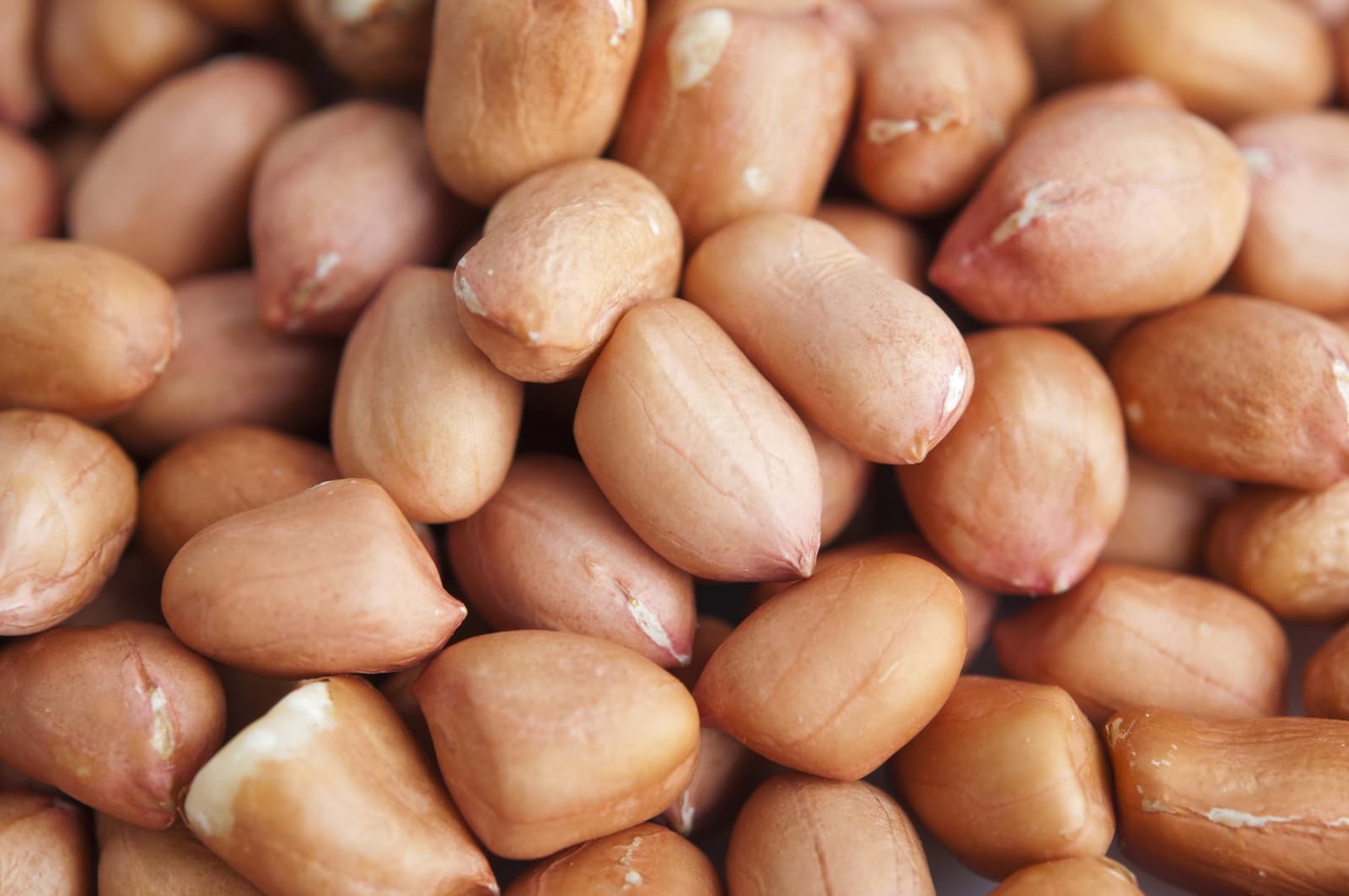 Peanuts Groundnut Direct supply from Farm of India